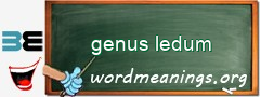 WordMeaning blackboard for genus ledum